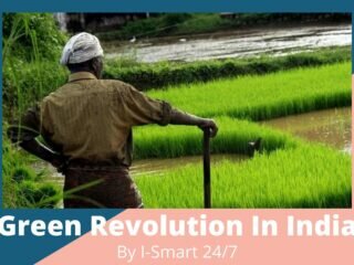 Impact of Green Revolution In India